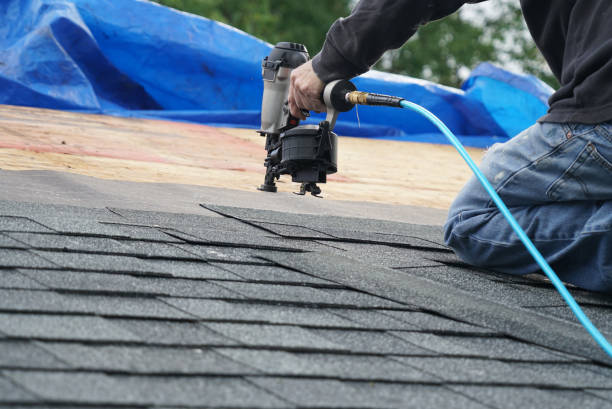 Best Roof Maintenance Services  in Oak Trail Shores, TX