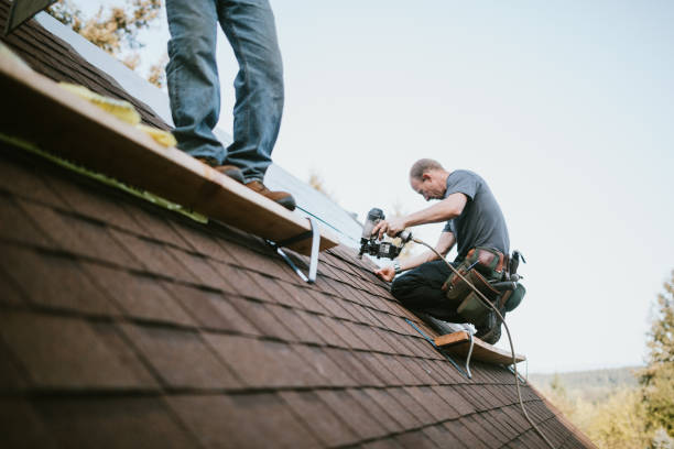 Roof Gutter Cleaning in Oak Trail Shores, TX